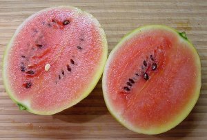 Faerie watermelon.